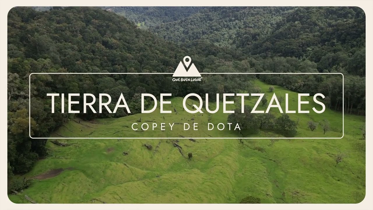 Tierra de Quetzales: Una CAMINATA LINDA con la mejor compañia - Costa Rica