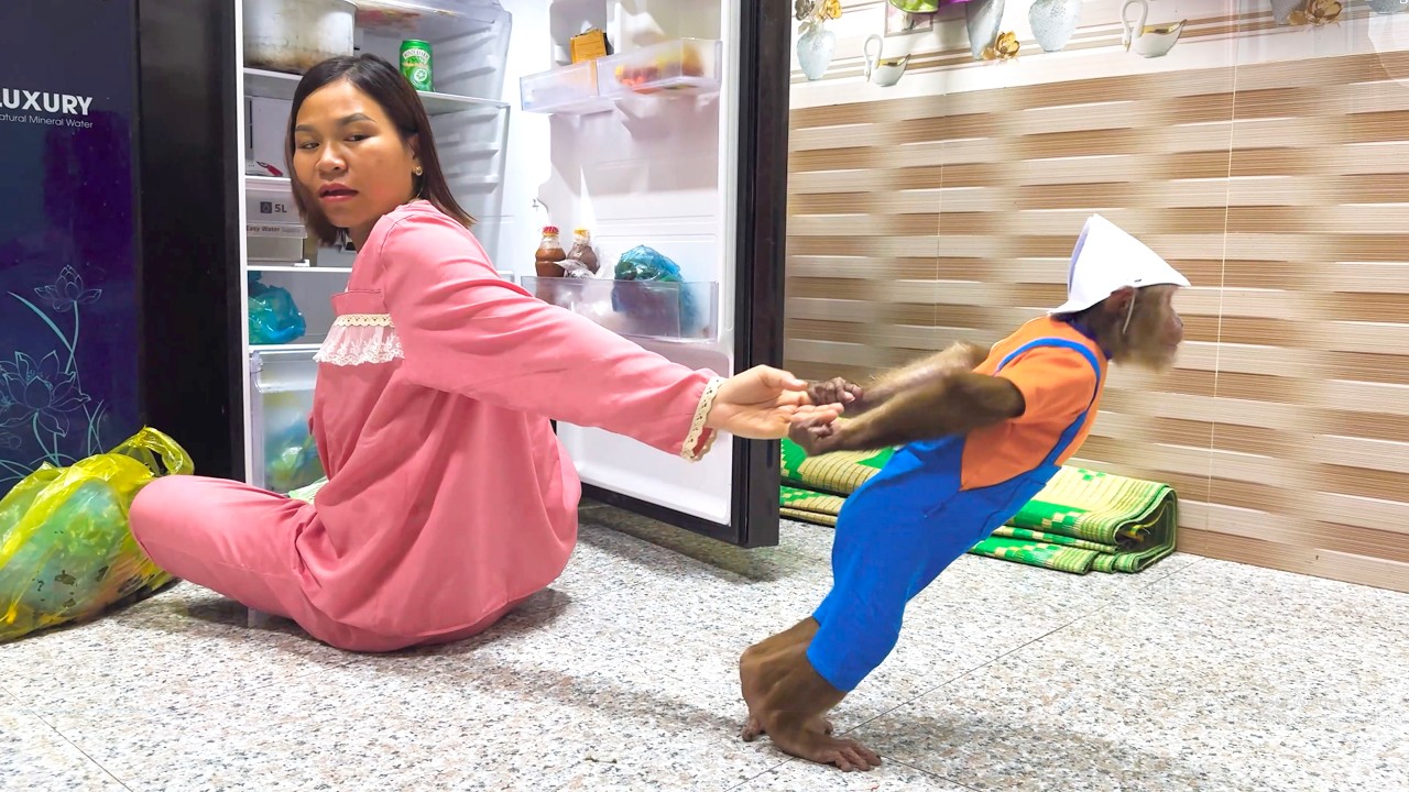 Too Cute to Miss! CUTIS’ Loving Request Makes Mom Laugh
