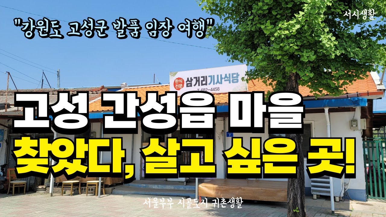 [고성 발품 임장 여행] 초보 귀촌할 때 진짜 살기 좋은 고성 간성읍 마을