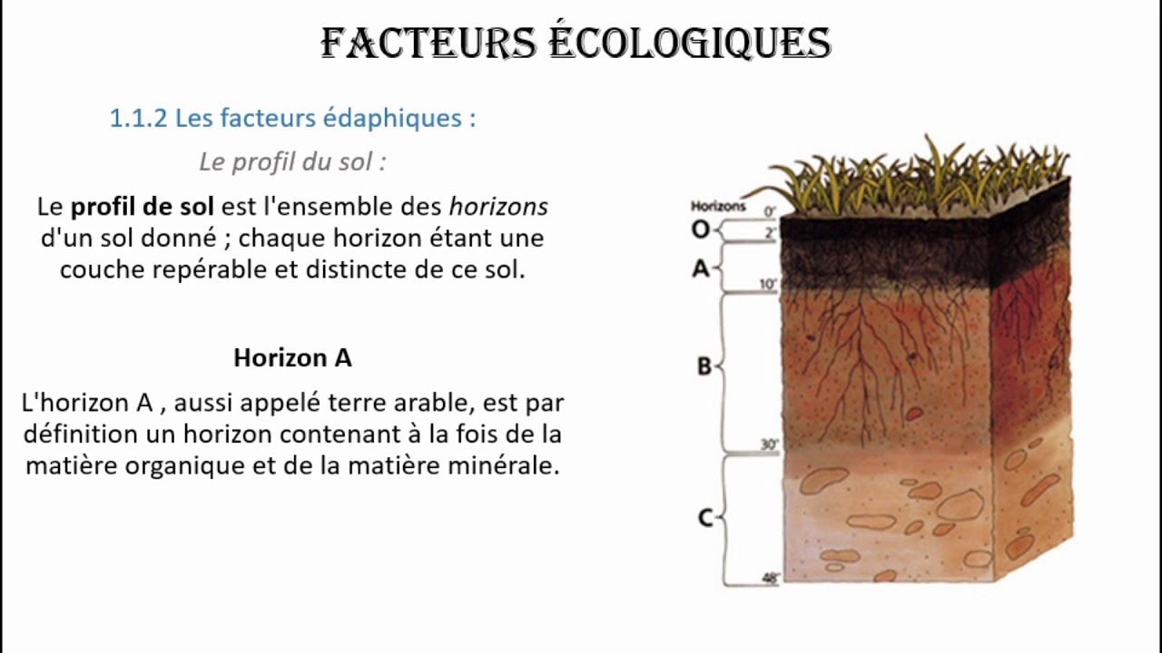 Écologie : Facteurs Écologique بالدارجة