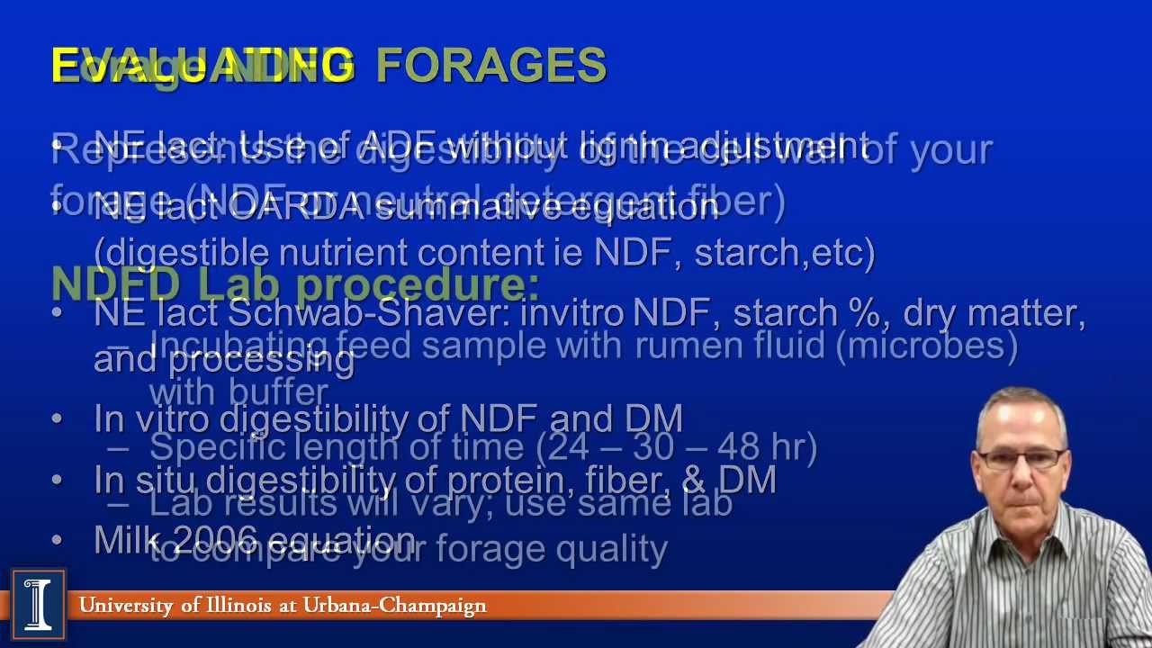 Increasing Forage Intake Make Sense