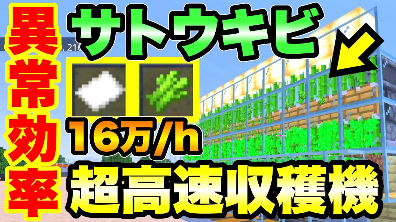 【マイクラ/統合版】毎時16万の激ヤバ効率!! 骨粉型サトウキビ自動収穫装置の作成方法を解説 (統合版Ver.1.21.101対応)