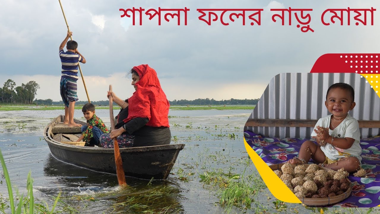 শাপলা ফলের ভাত নাড়ু আর খইয়ের মোয়া | Village life with Shampa