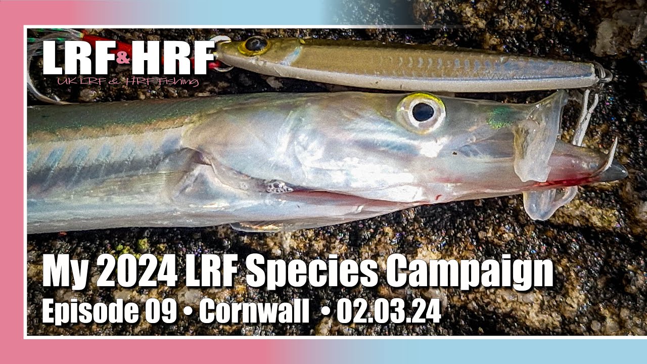 Episode 09: My 2024 LRF Species Hunt - Cornwall