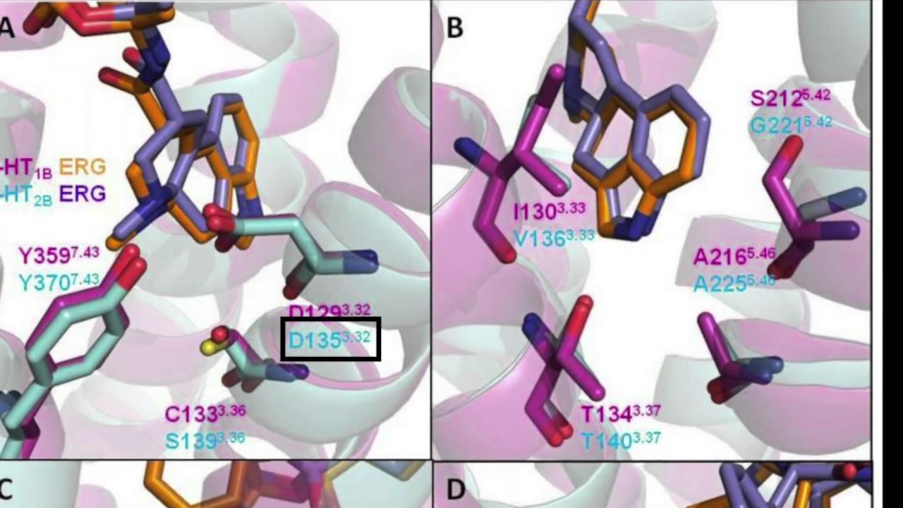 Serotonin Receptors