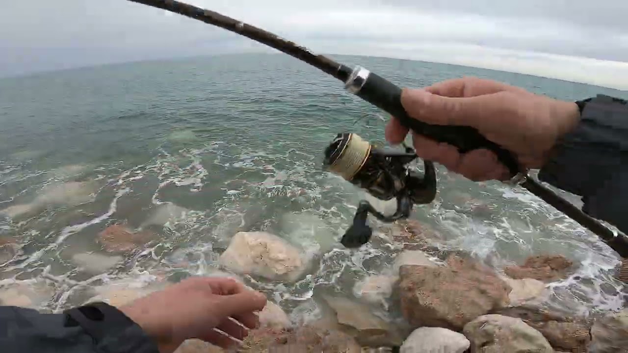 Spigola in scogliera