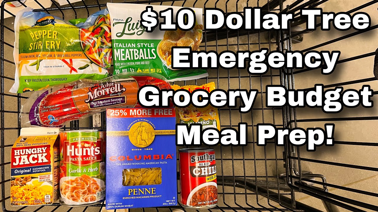 12 Meals for Just $10 | Dollar Tree Emergency Grocery Budget Meal Prep