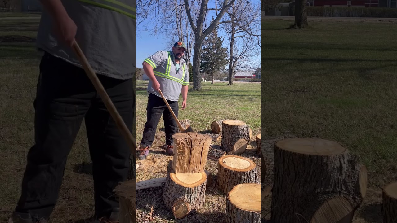 Splitting wood #buckinexperience #tree #work #doublebit #axe #firewood #hardwork