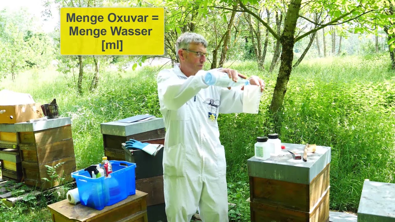 🐝 Bienenfachberatung: Erste Varroabehandlung der Ableger mit Oxalsäure