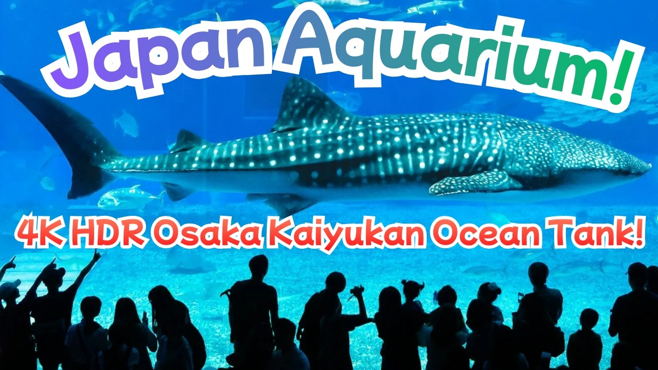 Osaka Aquarium Kaiyukan Ocean Tank 1 Hour OC 海遊館 太平洋水槽 Whale Shark, Rays 4K HDR Gentle Music No Loop