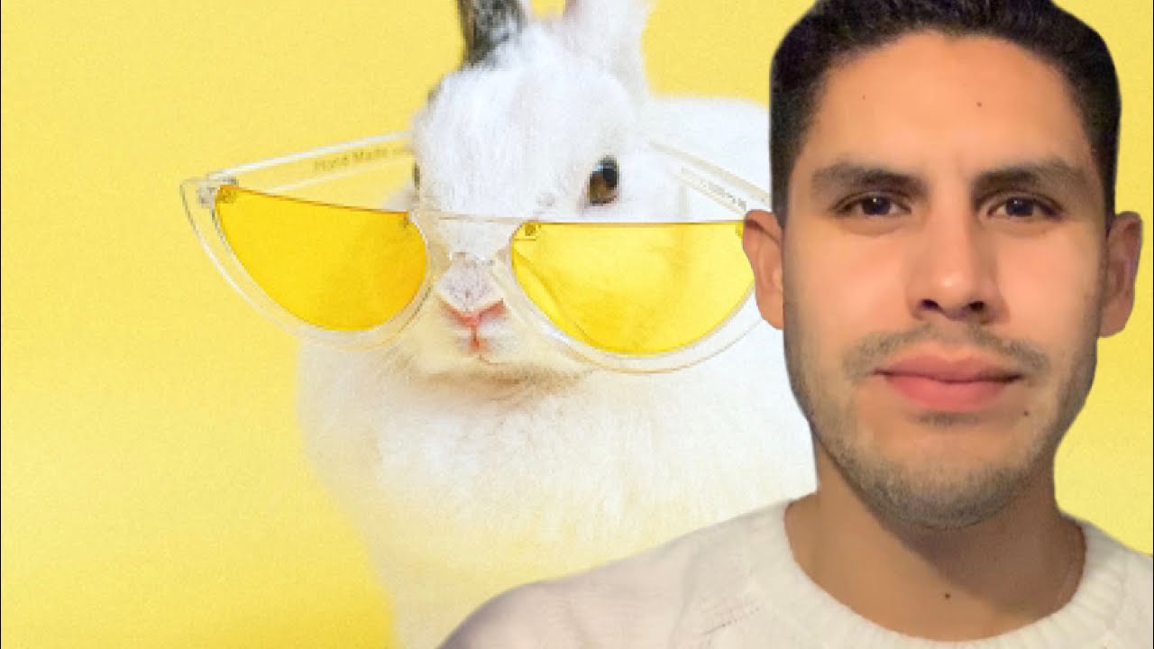 Learn Italian with Marco: the pets.