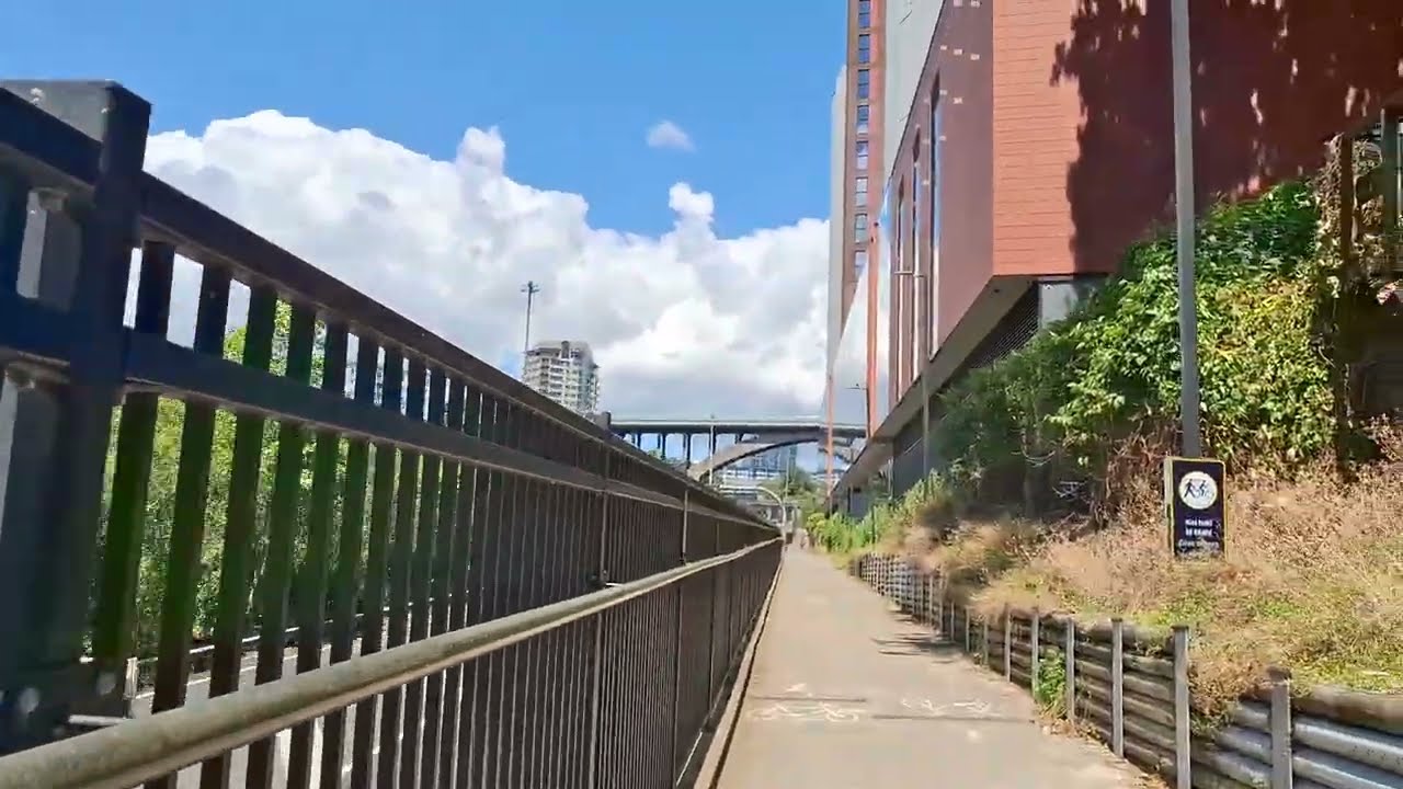 A Walking Tour Along The Grafton Gully Cycleway In Auckland New Zealand 