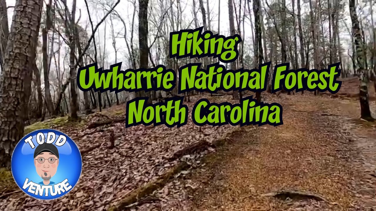 Hiking in the Uwharrie National Forest , North Carolina  (Sasquatch Territory)