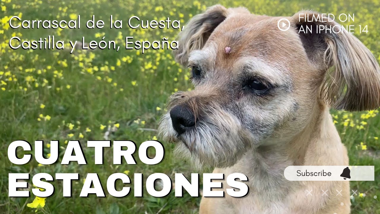 CUATRO ESTACIONES: Carrascal de la Cuesta, Segovia, Castilla y León