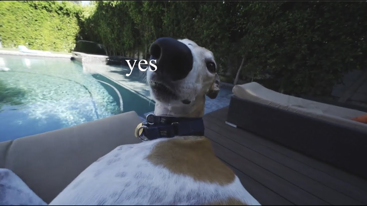Bunny being a good girl for 3 minutes straight