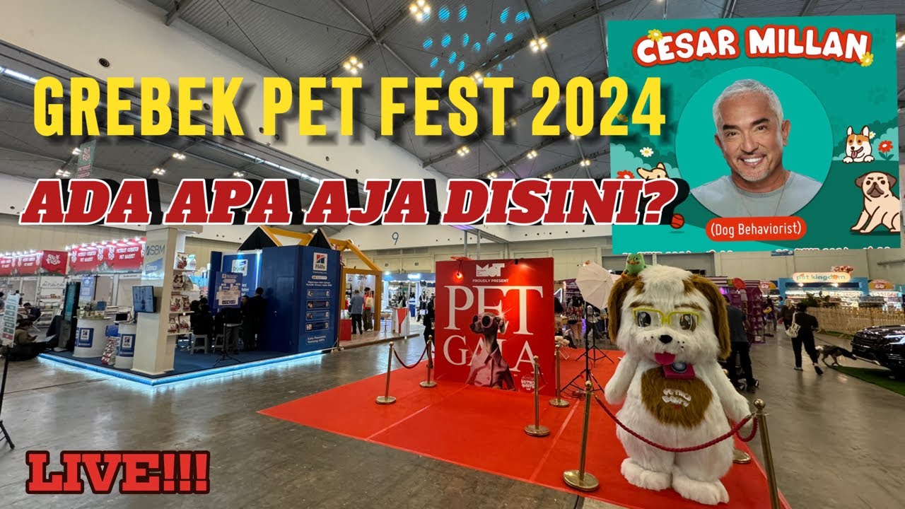 Grebek Pet Fest 2024 Di ICE BSD CITY - Cesar Millan