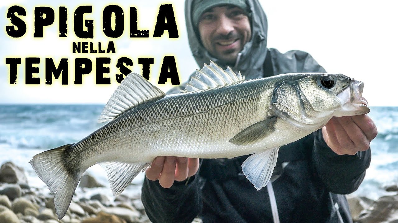 Spigola nella tempesta ! Spinning in condizioni meteo difficili