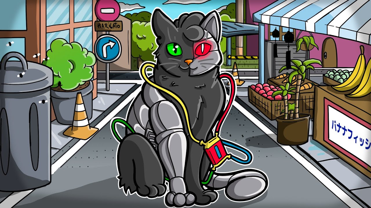 SOY UN GATO NEGRO 😺