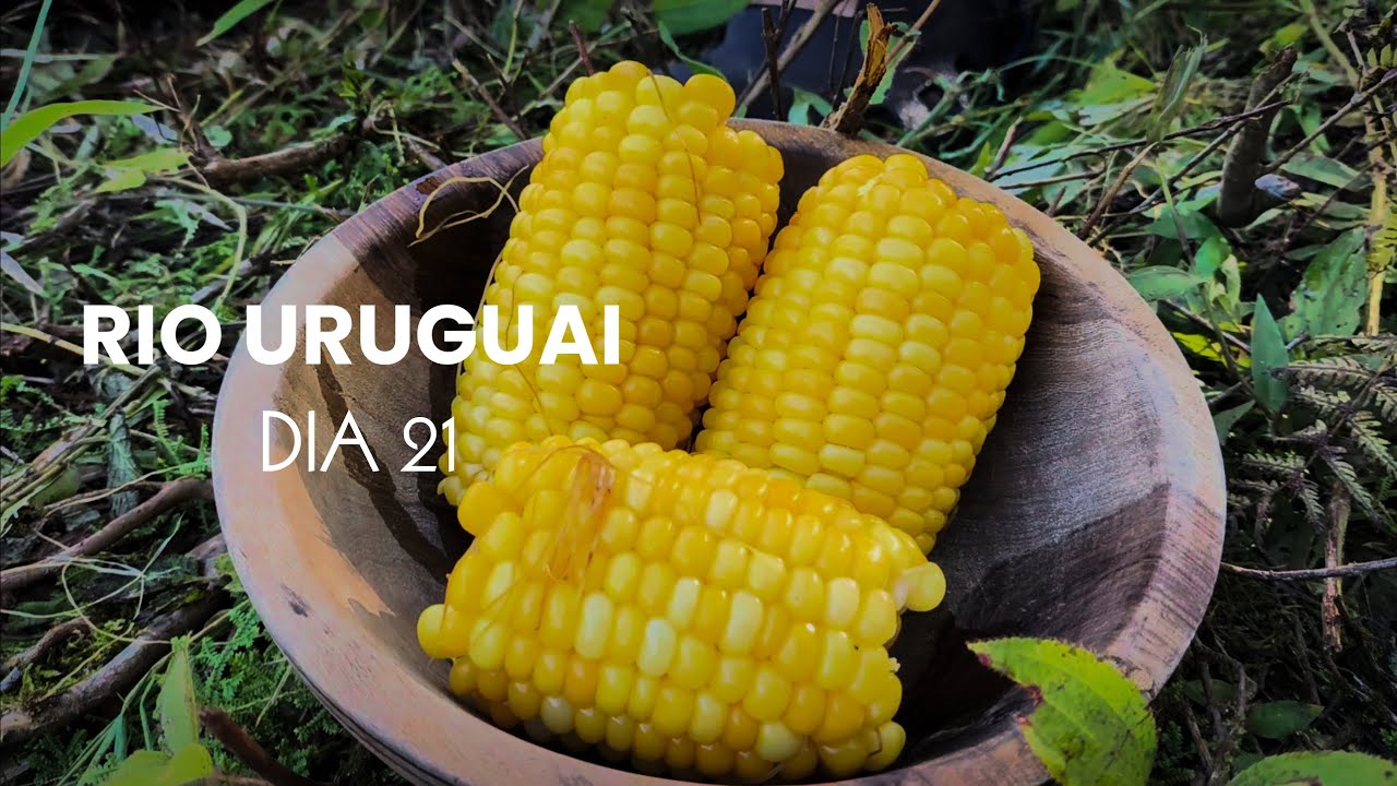 TEM COISA MELHOR? MILHO VERDE E RIO URUGUAI, DIA 21.