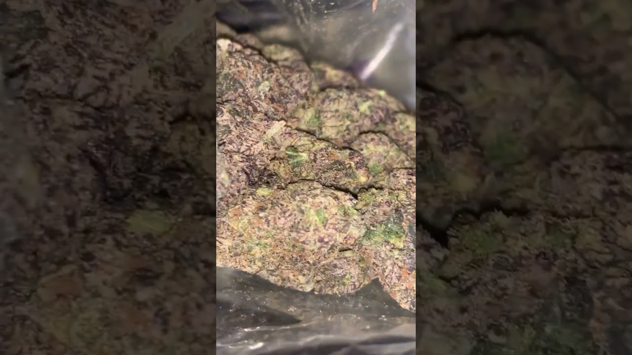 Sherblato strain review 🔥🔥