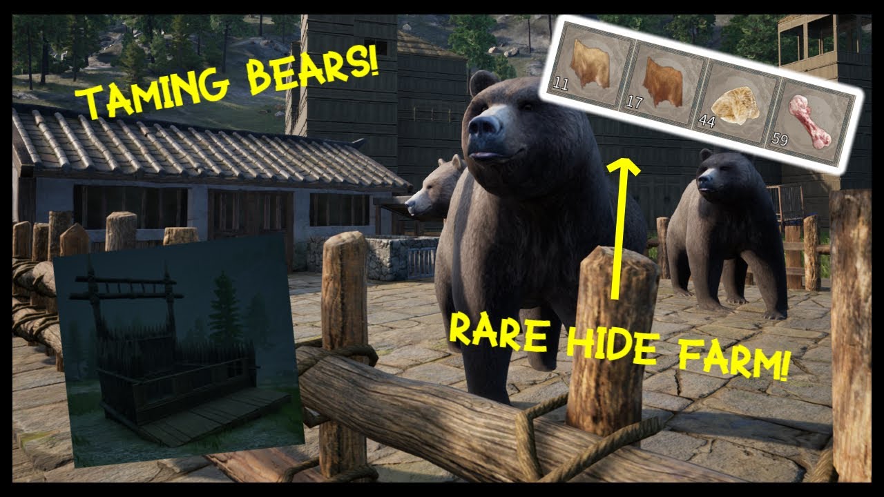 Rare and Flawless hide farm | How to tame bears | Myth of Empires [MOE]