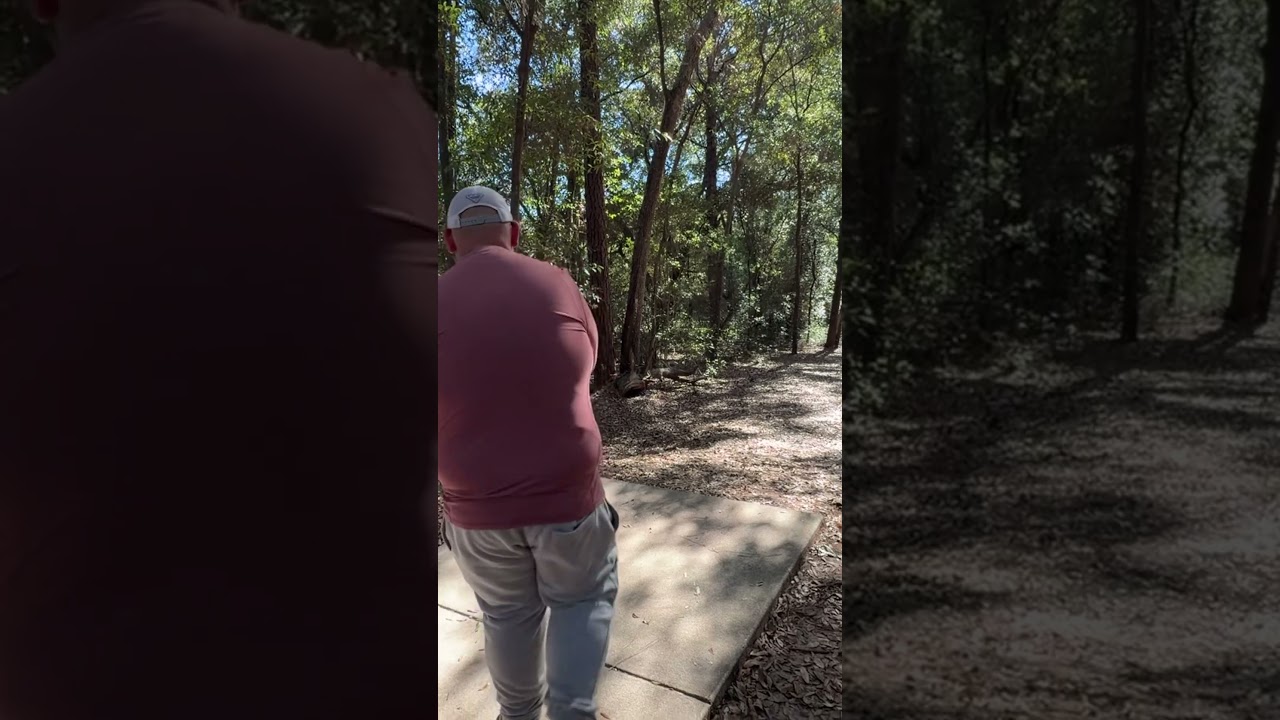 #discraft