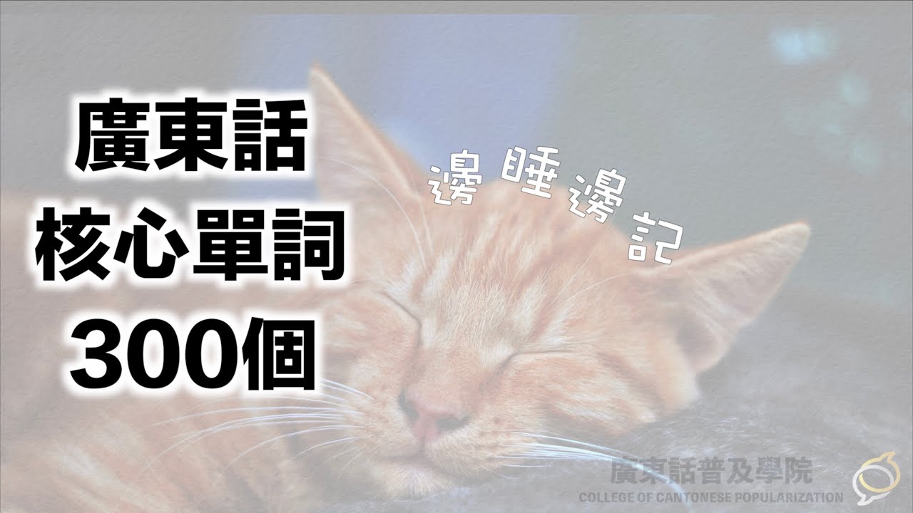 【邊睡邊記】廣東話核心300單字｜實用高頻詞