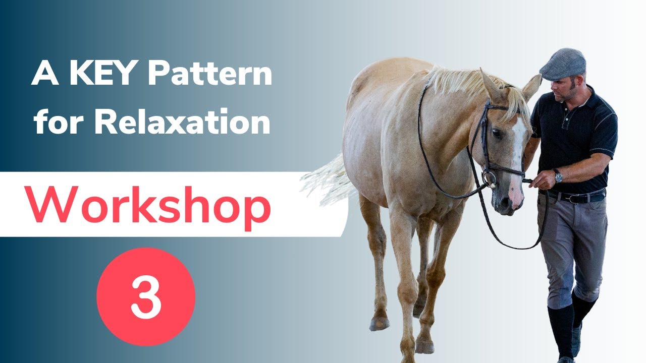 In Hand Horse Training Made Simple:  Key Patterns for Relaxation and Better Movement