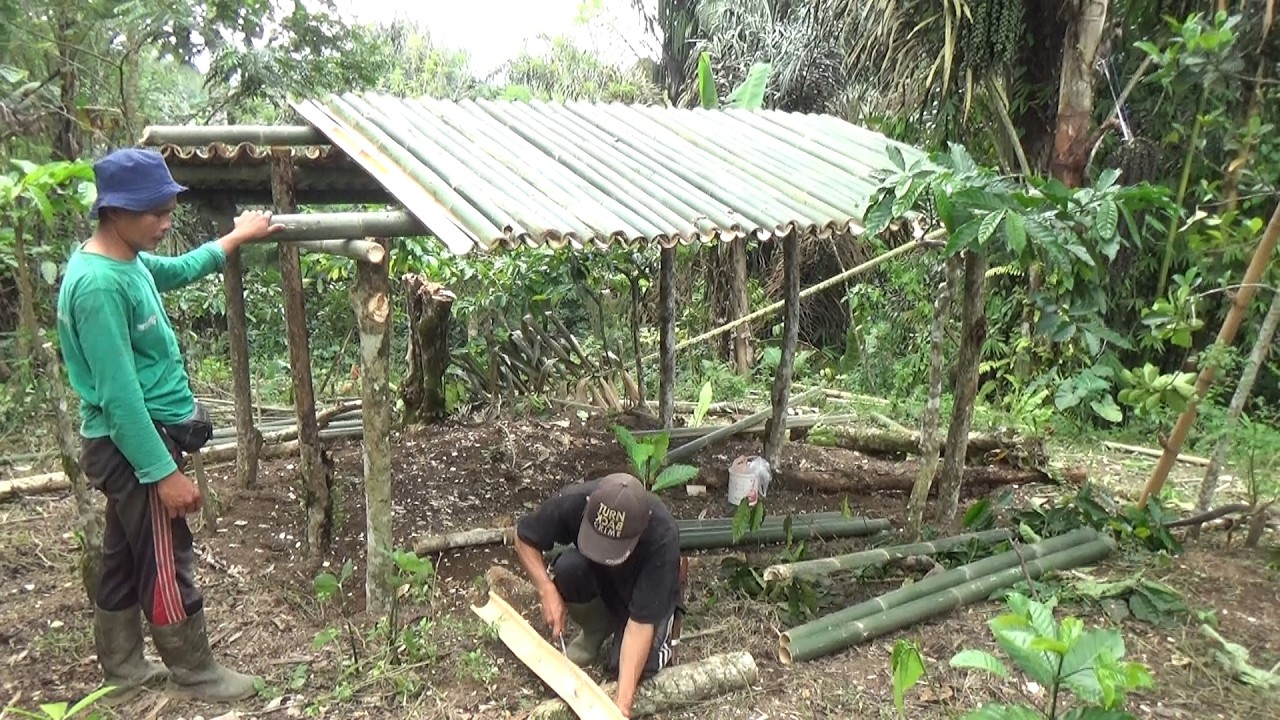 Cara kami membuat atap pondok dari bambu untuk tempat membuat gula aren