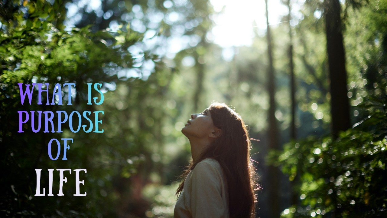The Purpose of Life Is Not What You Think.. #motivation  #life  #mentalstrength
