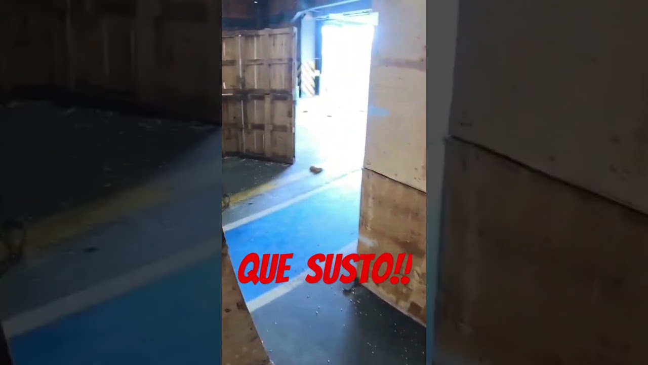 Que susto! #shorts #airsoft