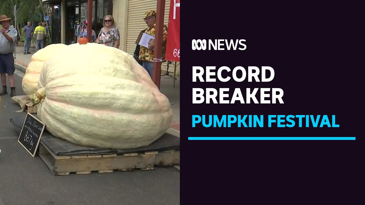 Record set at Kyogle's annual giant pumpkin festival | ABC News