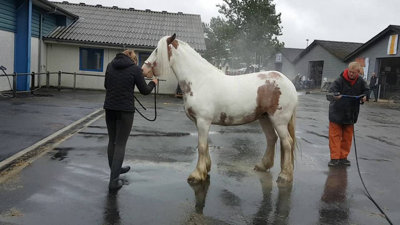 Landsskuet 2016