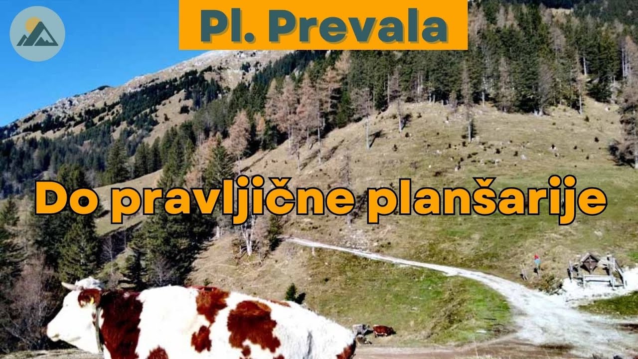 Iz Ljubelja do planšarske oaze na planini Preval