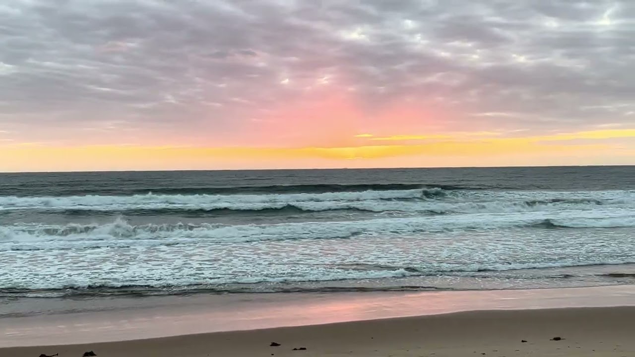 23.01.2026 Sydney Surf Report Queenscliff Beach Australia