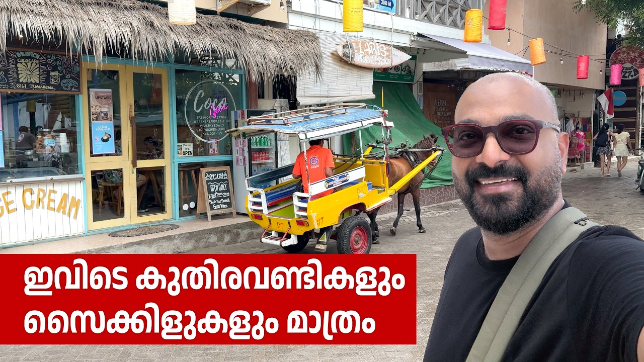 കാറുകളും ബൈക്കുകളും ഇല്ലാത്ത ലോകം | Gili T (Gili Trawangan) | Bali Malayalam Travel Vlog | Shaan Geo