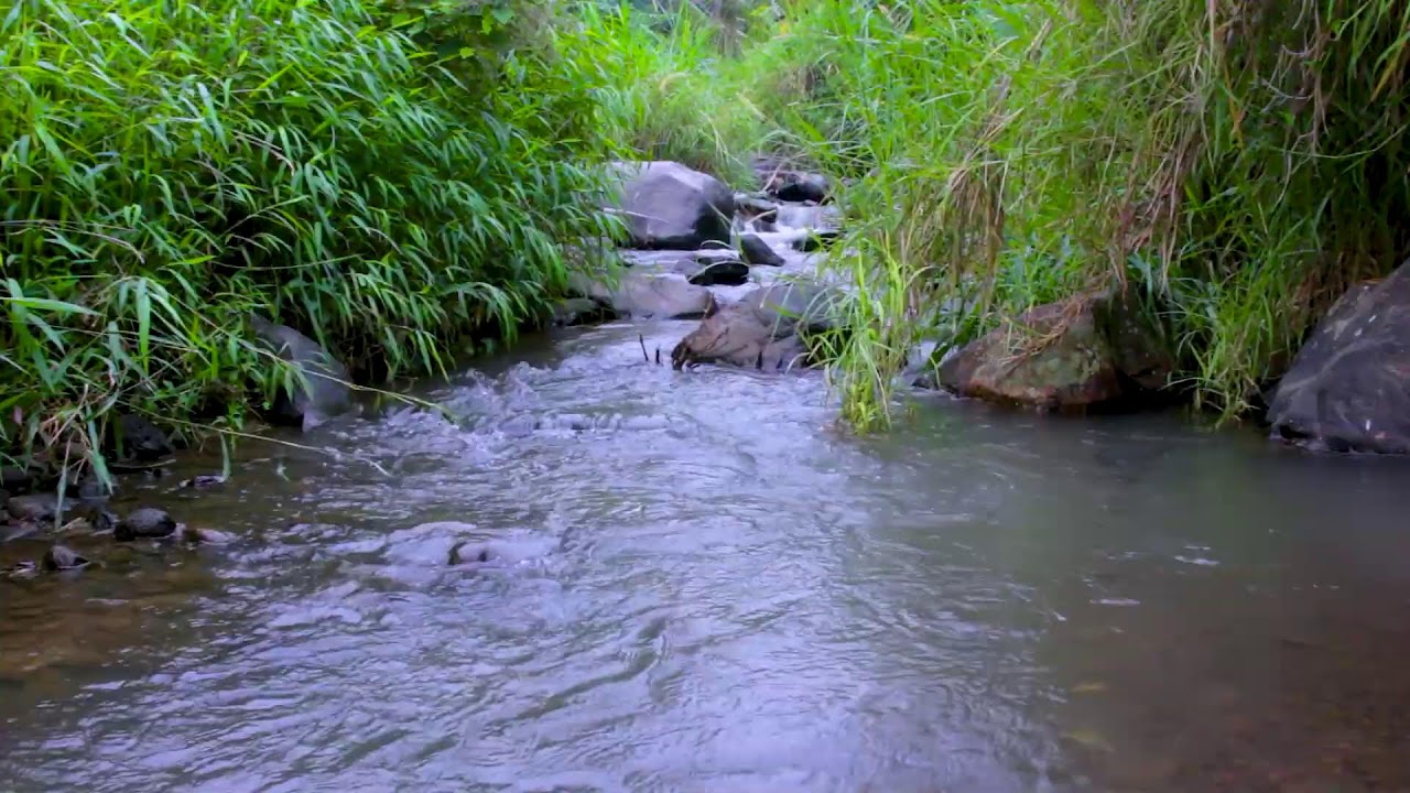 Midnight River Ambience | Deep Sleep White Noise for Better Sleep Tonight