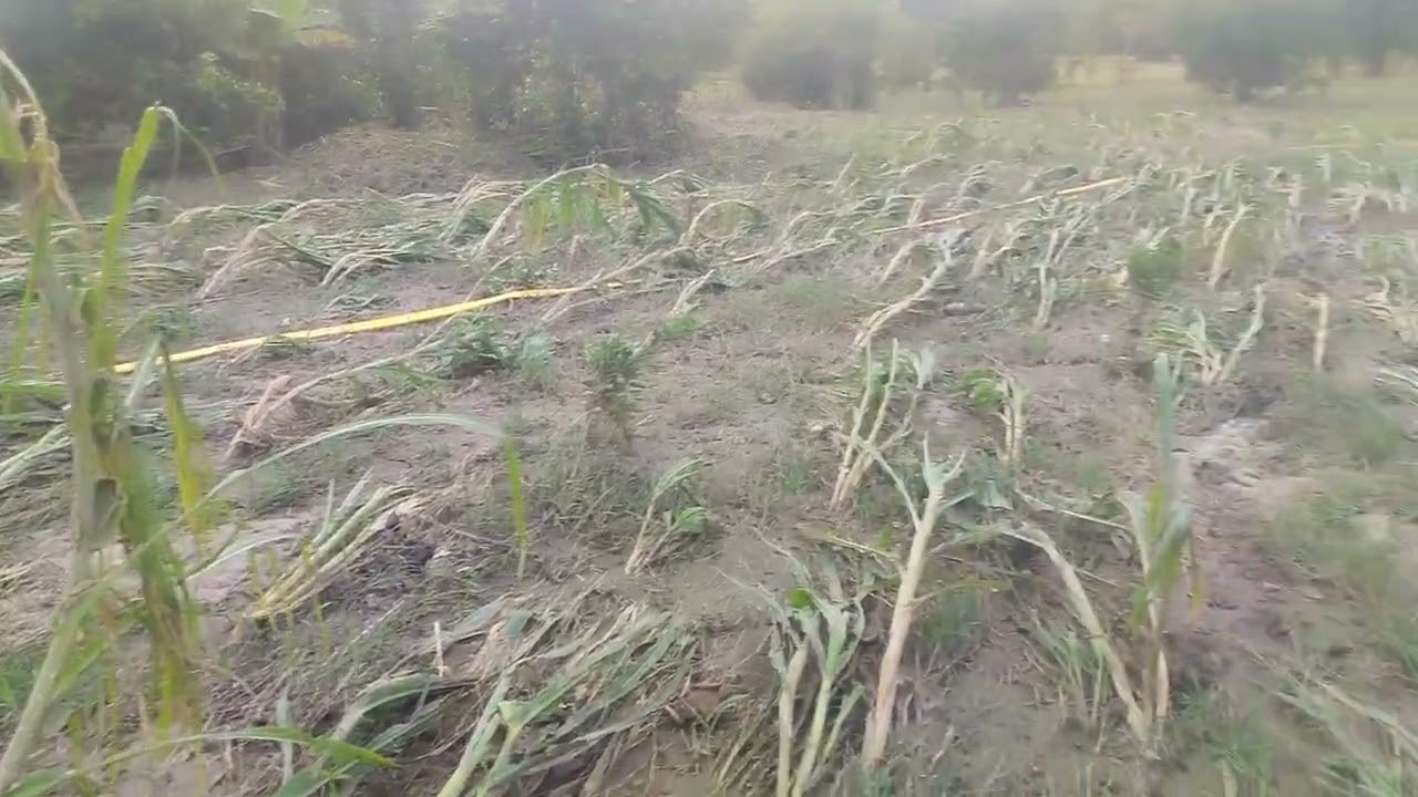 Inundacion rio pantepec 