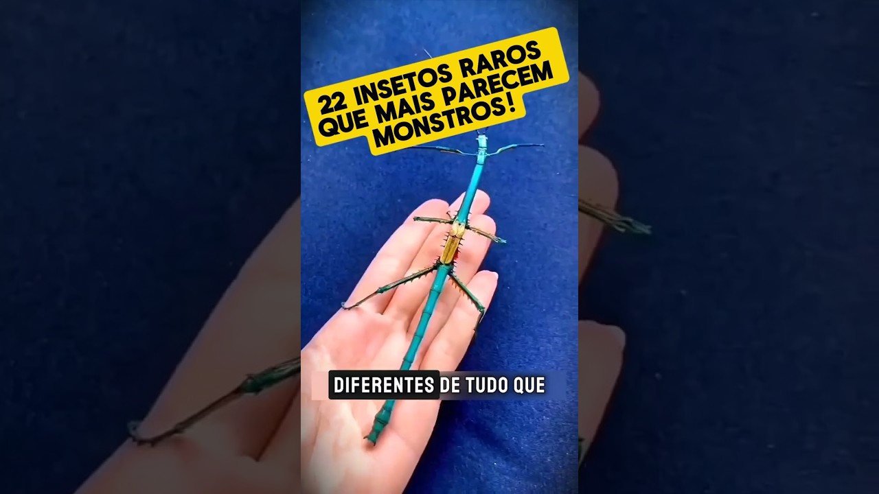 😱🐞ESSES INSETOS SE PARECEM COM SERES DE OUTRO MUNDO!🌌🦗#insetos #insetosbizarros