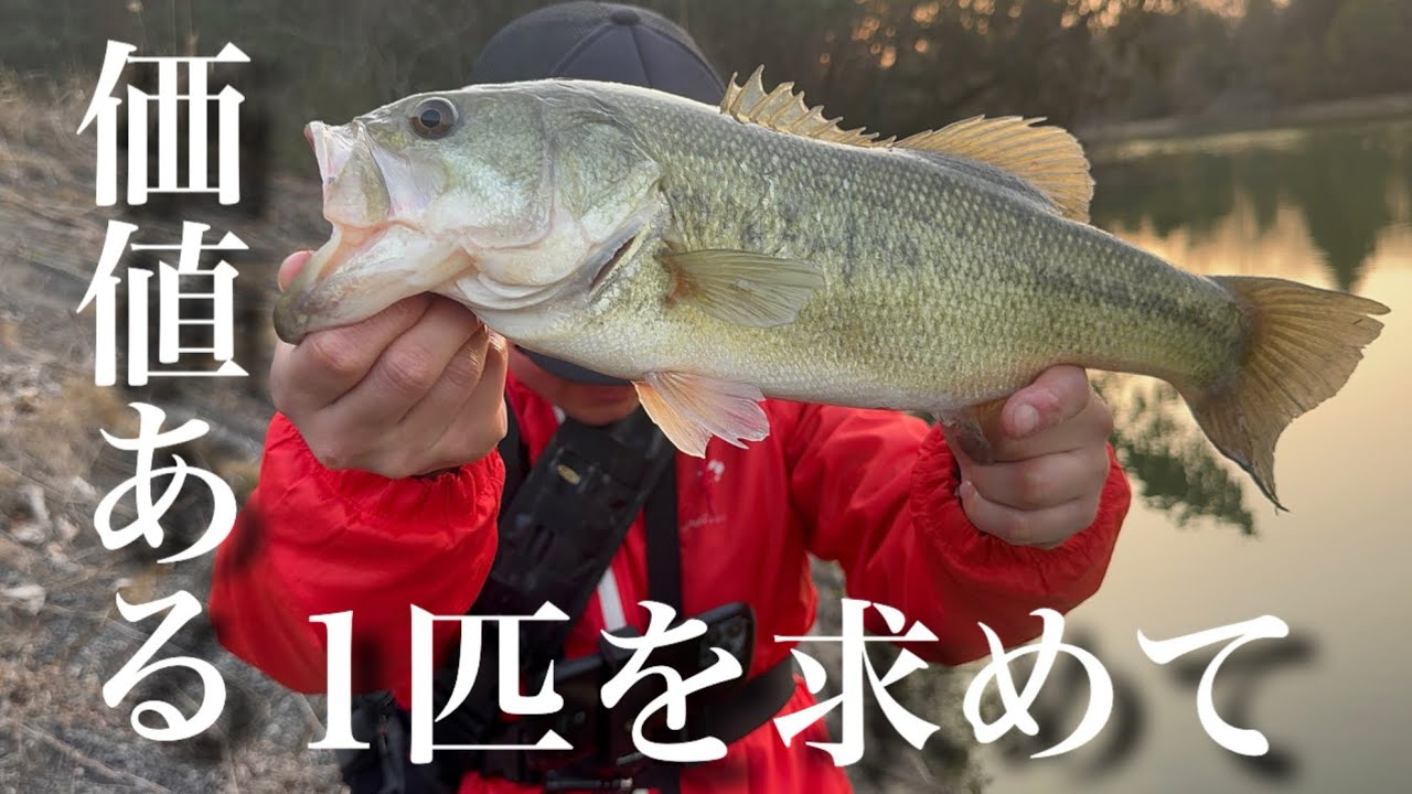 【bassfishing】真冬価値ある1匹を求めて…