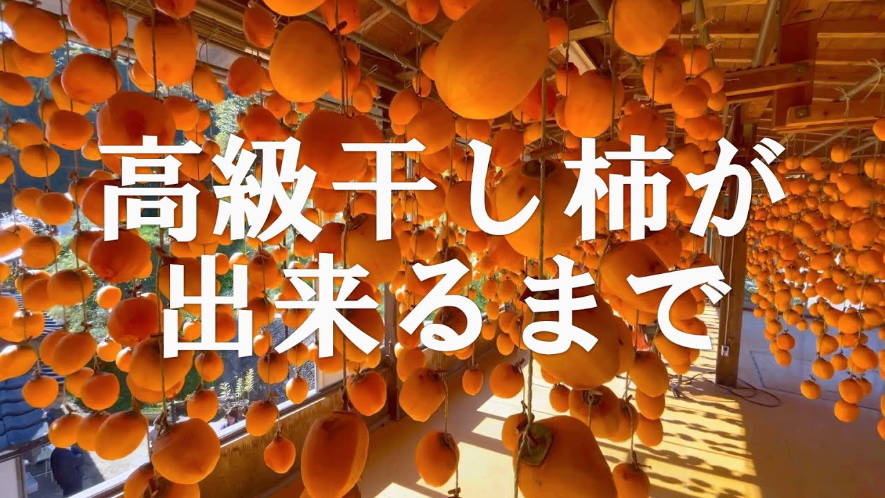 【高級干し柿が出来るまで】エプロンズ畑地区で干し柿作りに挑戦！