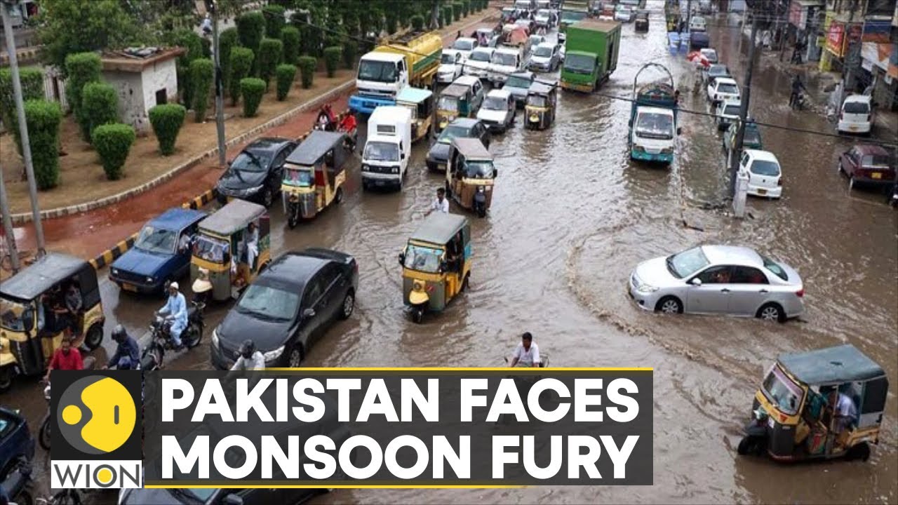 WION Climate Tracker |Pakistan faces heaviest rain in decades; flooding damaged nearly 50,000 homes