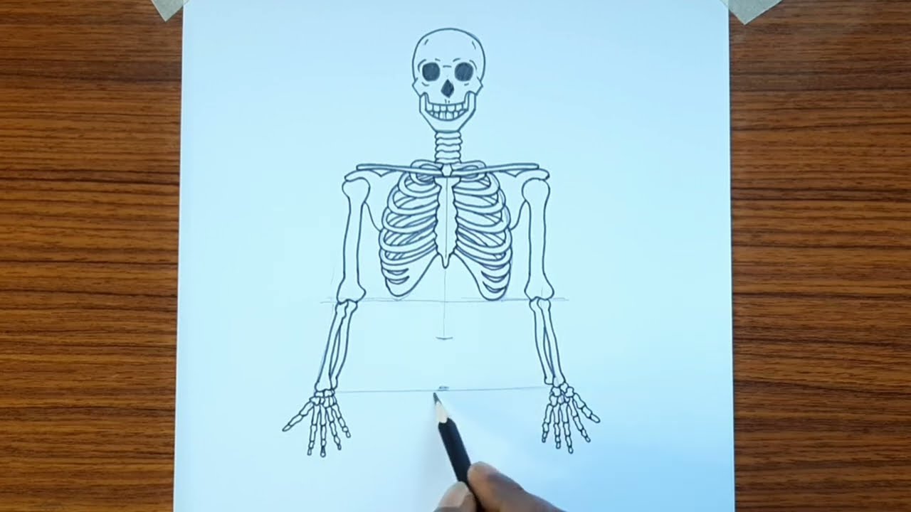 Skeleton drawing easy step by step | How to draw human skeleton | Skeleton drawing tutorial