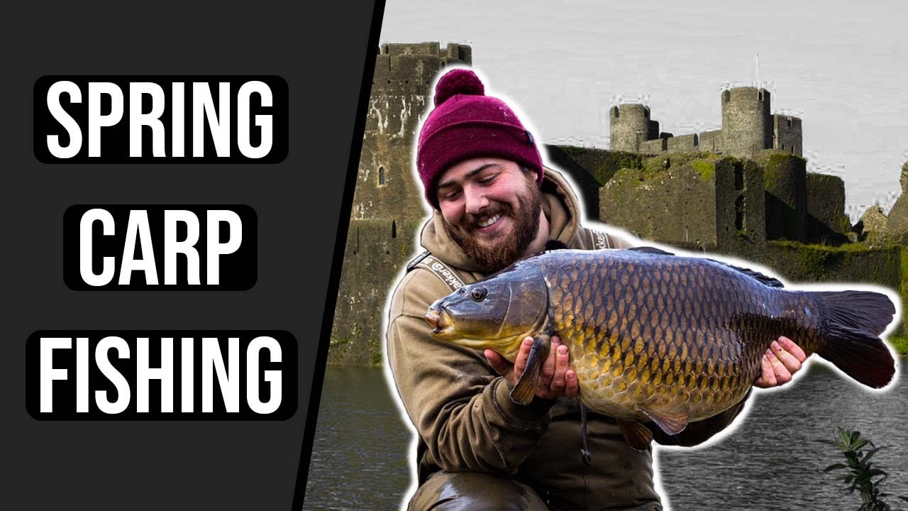 Spring carp fishing - Caerphilly Castle Moat
