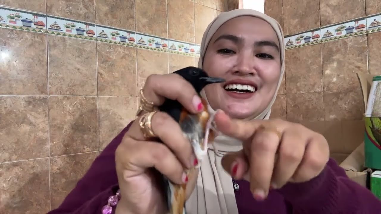 OBRAL MURAI BATU MH DAN RIJEKAN NON GEMBUNG 25-2-2026