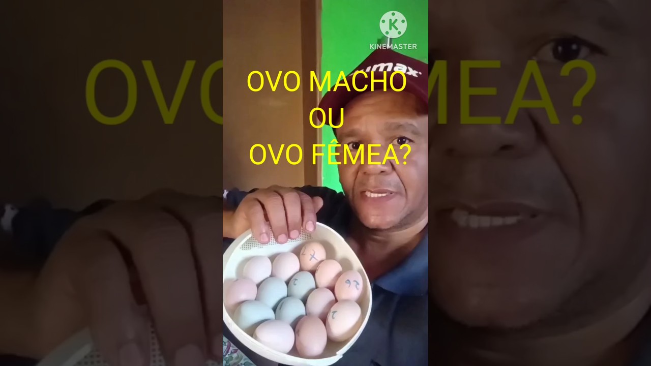 TEM COMO SABER SE O OVO &Eacute; MACHO OU F&Ecirc;MEA? #videoshorts #shortsviral #shortsfeed