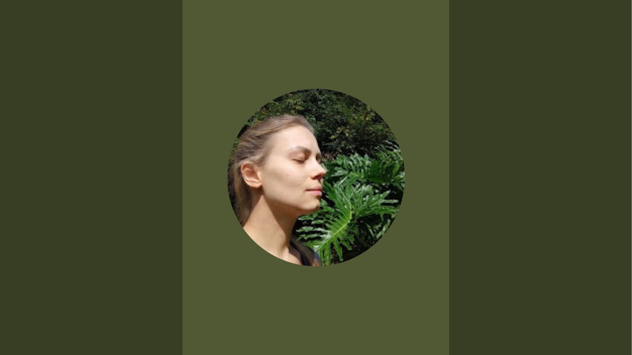 Renata Philipp está ao vivo!