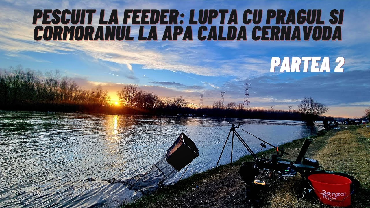 Pescuit la Feeder pe Canalul cu Apa Calda Cernavoda: Lupta cu pragul si cormoranul Partea 2