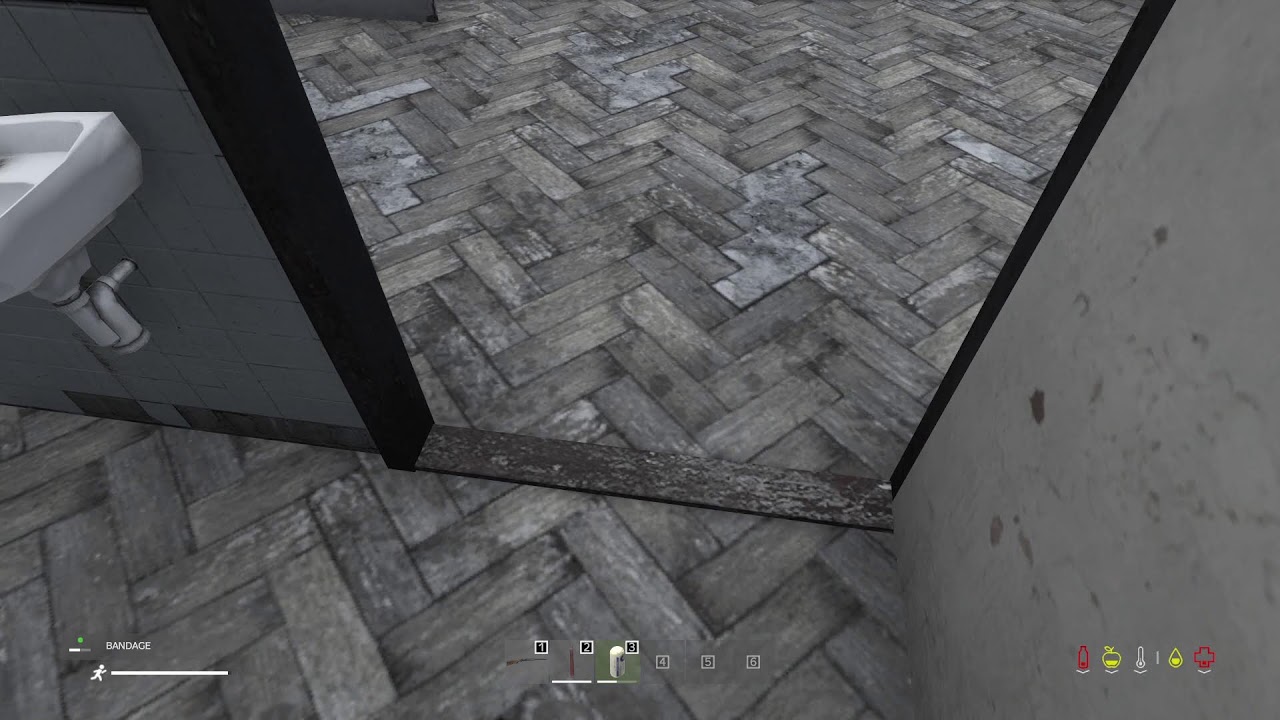 DayZ Day 2