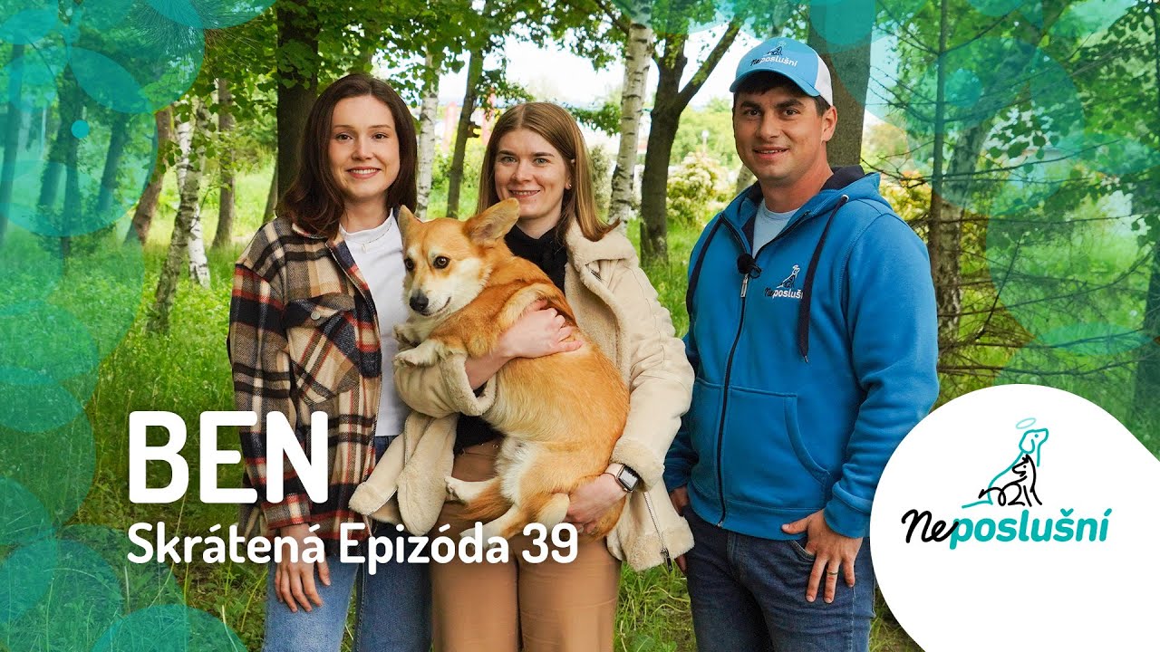 Najuštekanější Pes Na Slovensku, BEN (skrátené časti) NEPOSLUŠNÍ